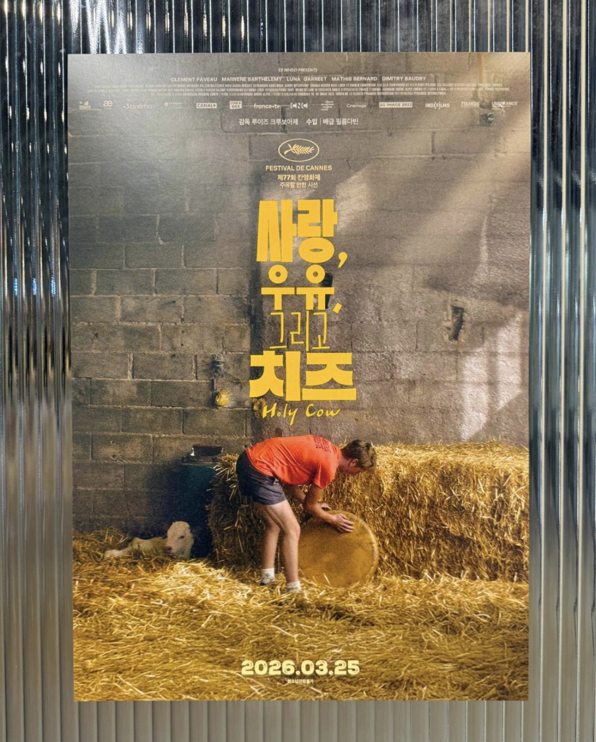 <사랑, 우유, 그리고 치즈> A3 포스터 증정