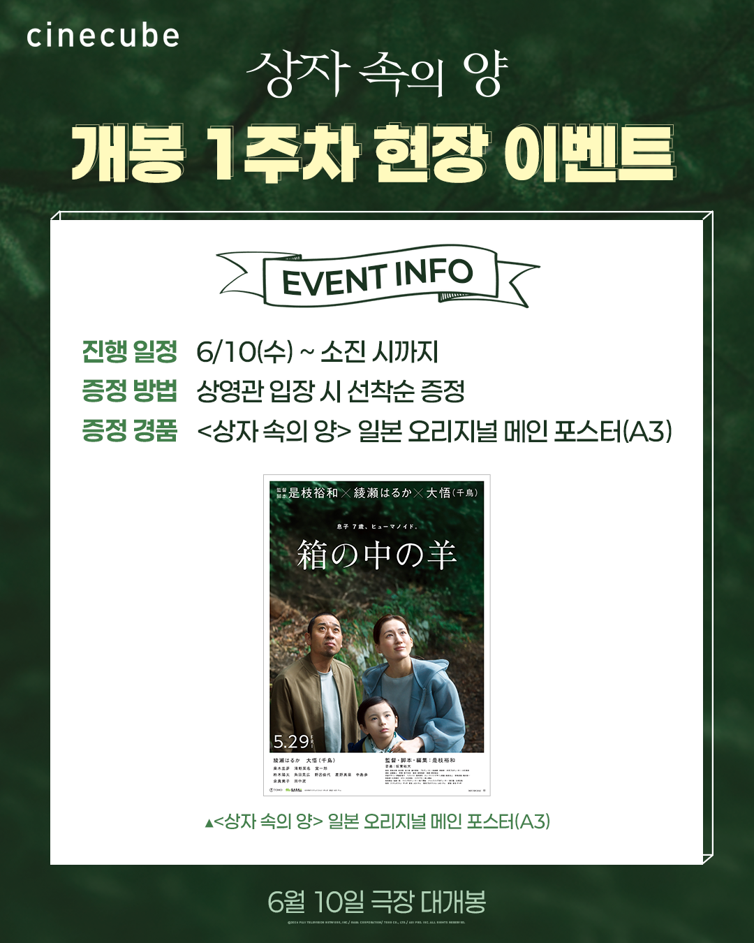 <상자 속의 양> 일본 오리지널 메인 포스터 증정